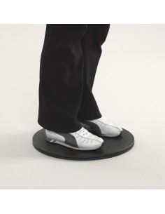 Disco giratorio económico para transferencias