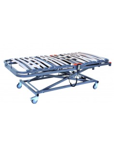 Cama eléctrica articulada con carro elevador Geria Lift 2