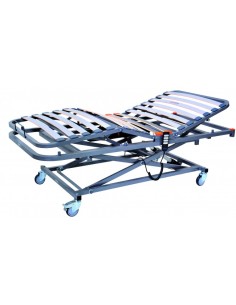 Cama eléctrica articulada con carro elevador Geria Lift