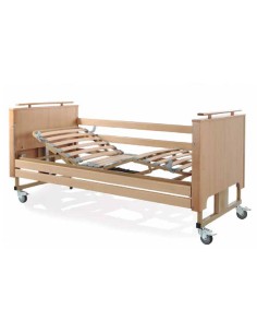 Cama eléctrica articulada Aneto