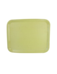 Bandeja antideslizante | Plástico 2