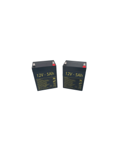 Baterías de 12V 5 Ah para grúas de elevación Práctika y...