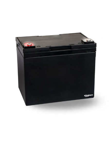 Batería de litio 36Ah para scooter | La Palma