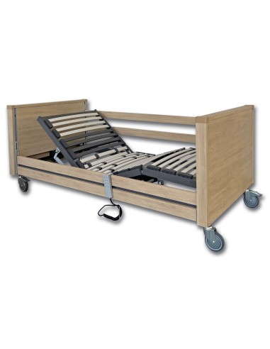 Cama articulada eléctrica con carro elevador |...